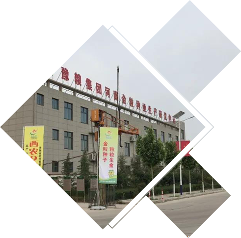糧食倉儲