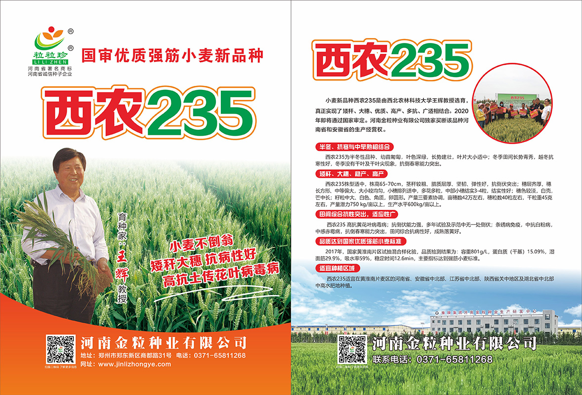 西農(nóng)235單頁