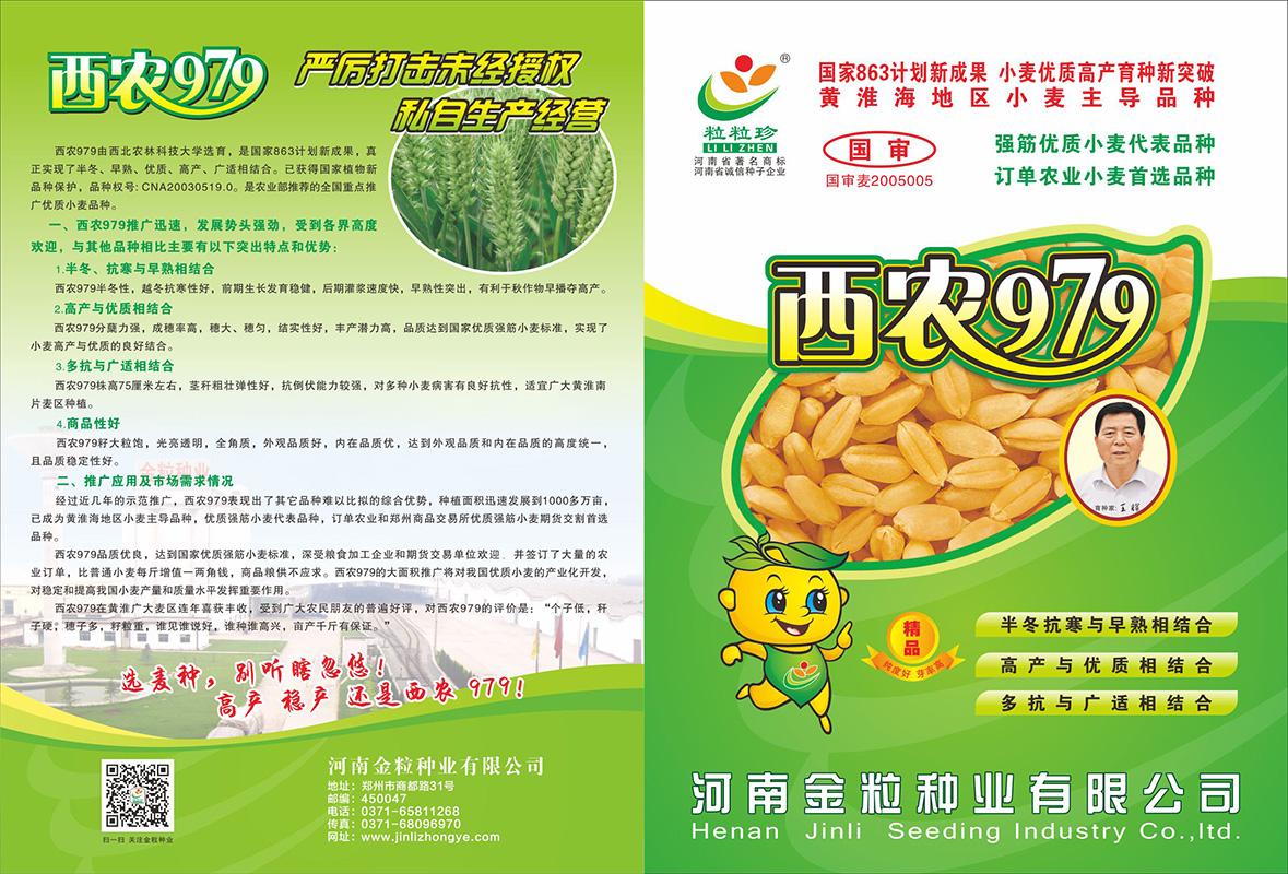 西農979單頁